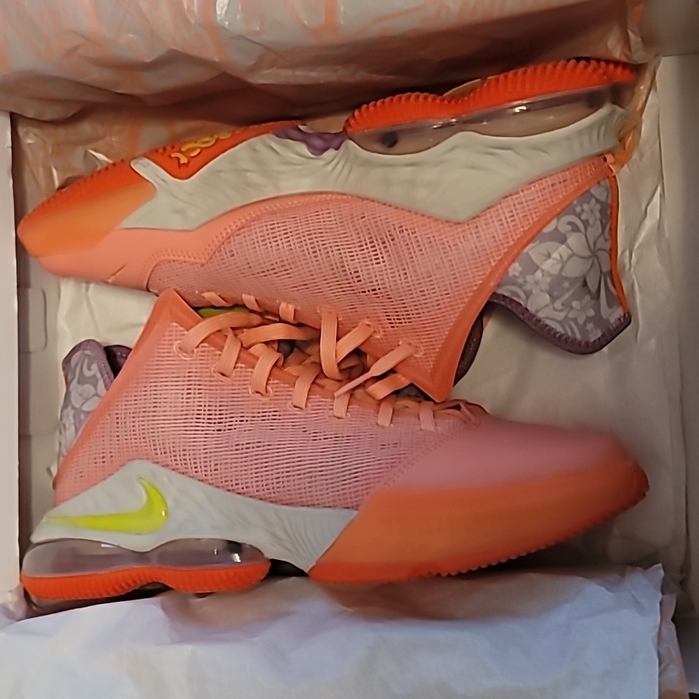NIke LeBron 19 Low